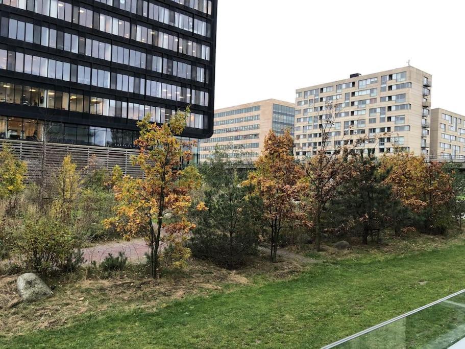 1 Bedroom Designer Flat Apartment